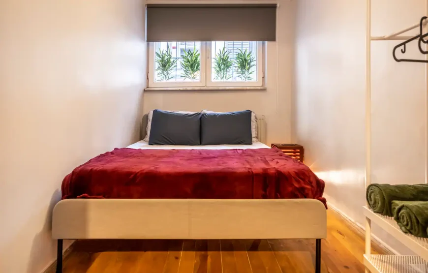 Entire house/apartment