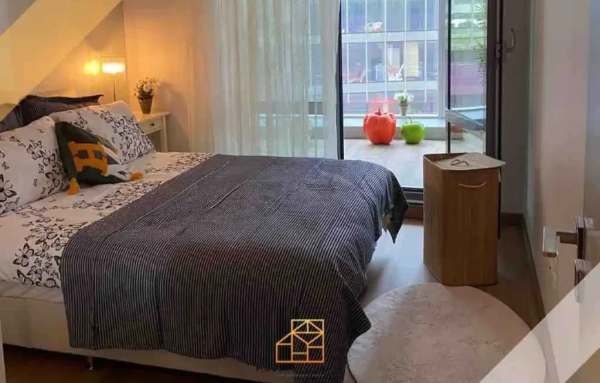 Entire house/apartment