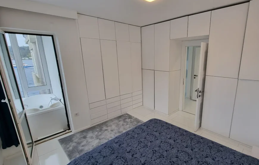 Entire house/apartment