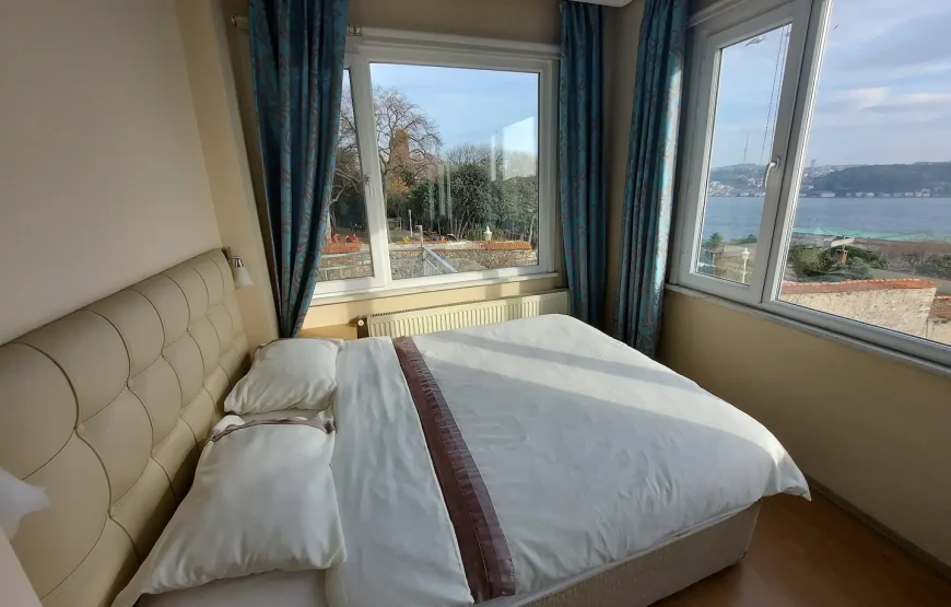 Entire house/apartment