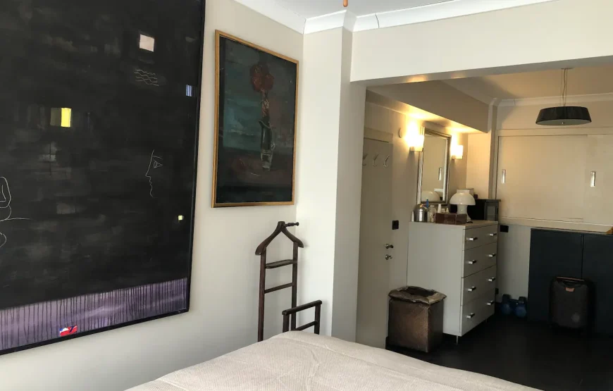Entire house/apartment