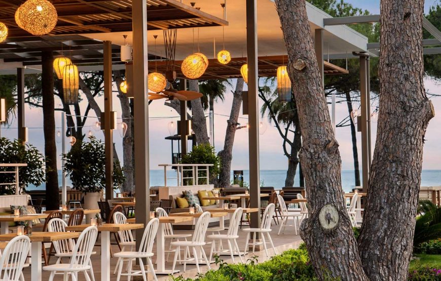 ACANTHUS CENNET BARUT COLLECTION