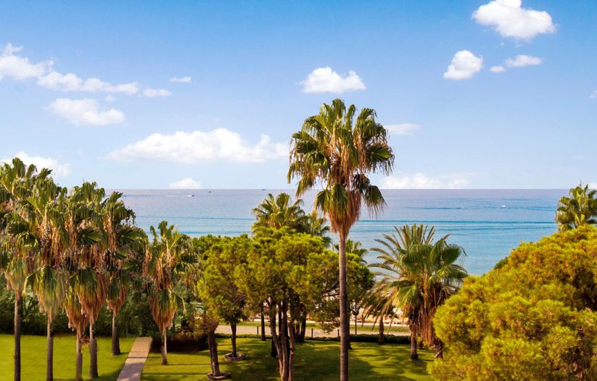 ACANTHUS CENNET BARUT COLLECTION