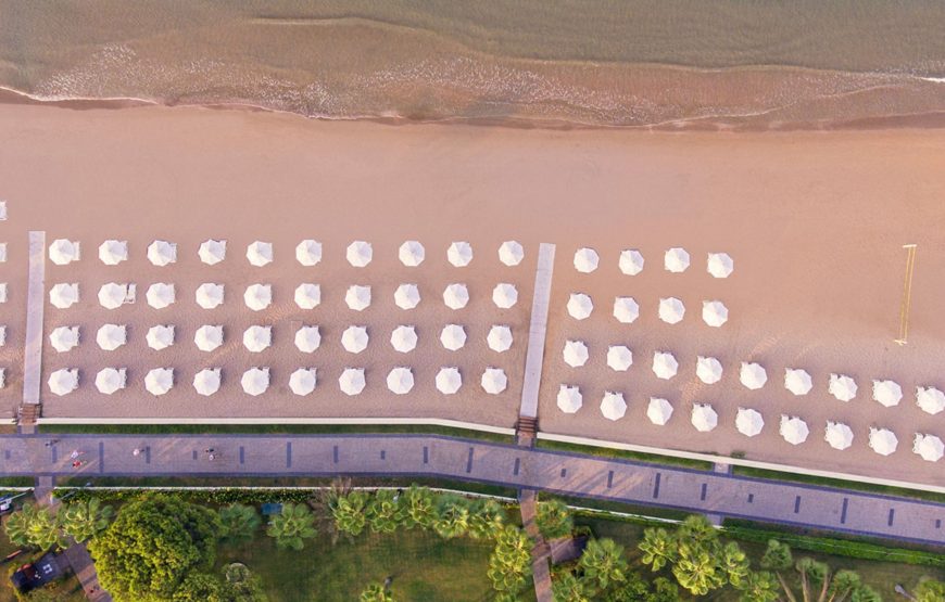 ACANTHUS CENNET BARUT COLLECTION